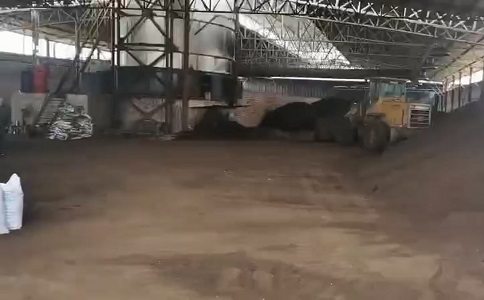 猪粪怎么处理成好色先生TV免费下载 猪粪怎么处理成好色先生TV免费下载